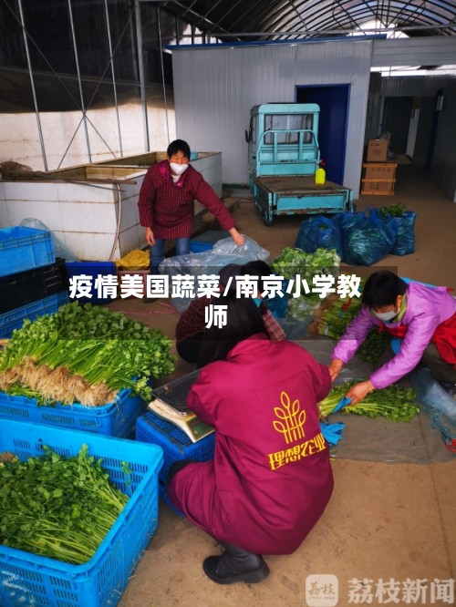 疫情美国蔬菜/南京小学教师-第2张图片