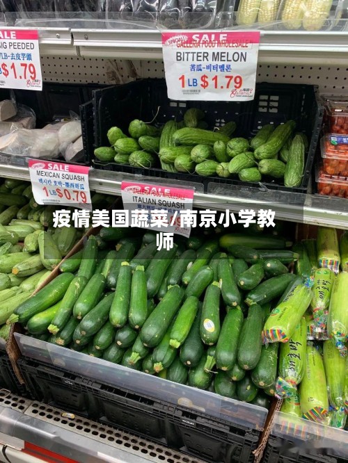 疫情美国蔬菜/南京小学教师