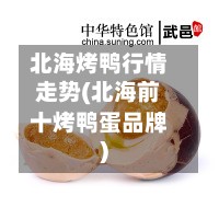 北海烤鸭行情走势(北海前十烤鸭蛋品牌)