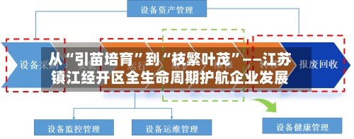 从“引苗培育”到“枝繁叶茂”——江苏镇江经开区全生命周期护航企业发展