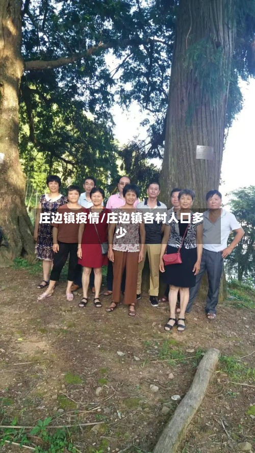 庄边镇疫情/庄边镇各村人口多少