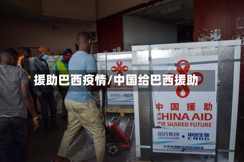 援助巴西疫情/中国给巴西援助-第2张图片