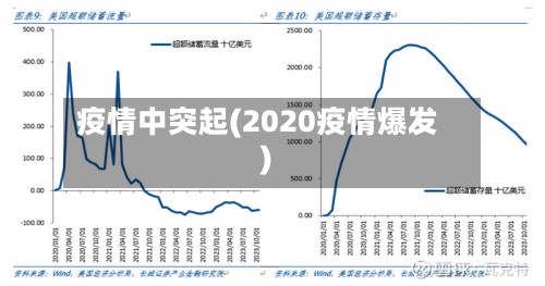 疫情中突起(2020疫情爆发)