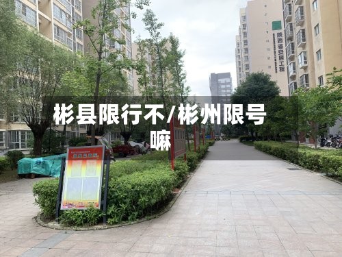 彬县限行不/彬州限号嘛