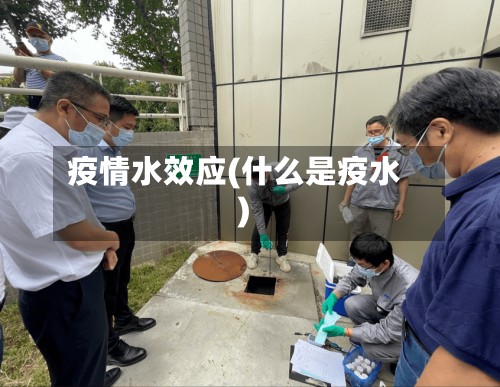 疫情水效应(什么是疫水)