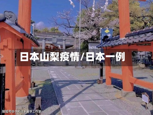 日本山梨疫情/日本一例