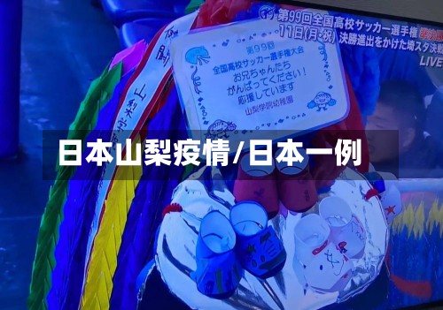 日本山梨疫情/日本一例-第2张图片
