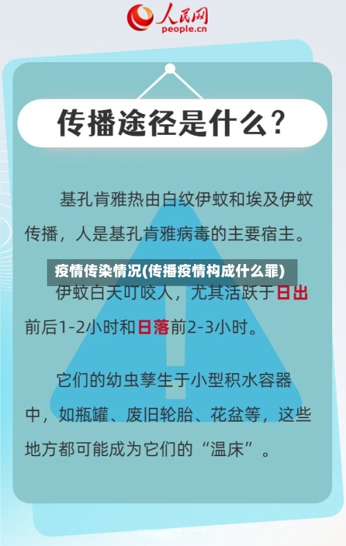 疫情传染情况(传播疫情构成什么罪)-第2张图片