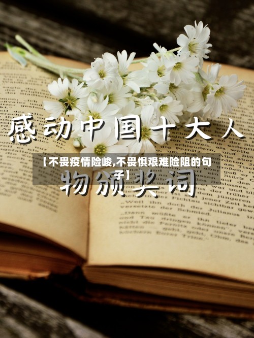 【不畏疫情险峻,不畏惧艰难险阻的句子】-第2张图片
