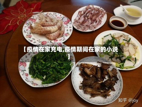 【疫情在家充电,疫情期间在家的小说】