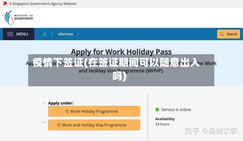 疫情下签证(在签证期间可以随意出入吗)-第2张图片