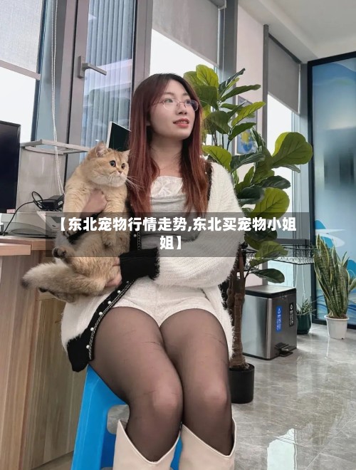 【东北宠物行情走势,东北买宠物小姐姐】