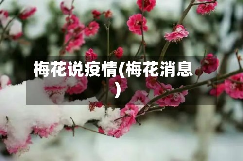 梅花说疫情(梅花消息)-第3张图片