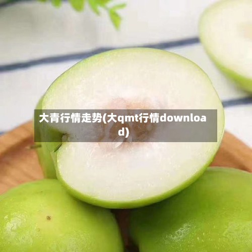 大青行情走势(大qmt行情download)