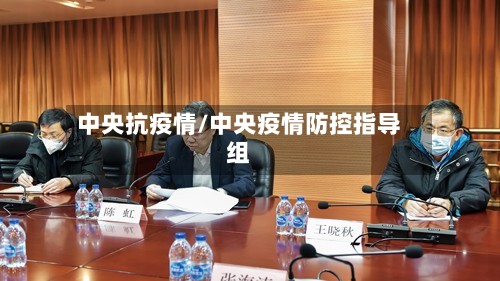 中央抗疫情/中央疫情防控指导组