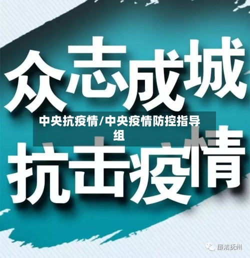 中央抗疫情/中央疫情防控指导组-第2张图片