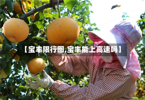 【宝丰限行图,宝丰能上高速吗】