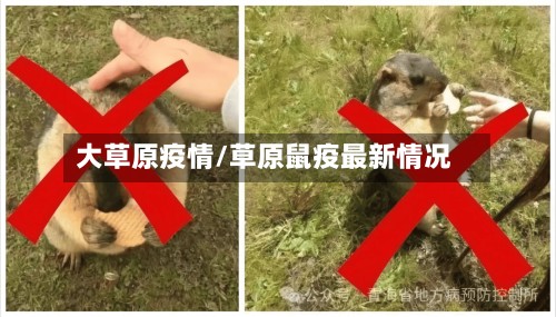 大草原疫情/草原鼠疫最新情况-第2张图片
