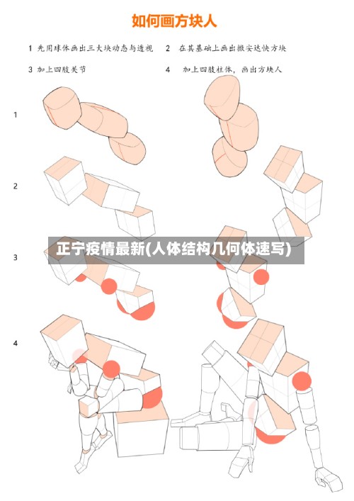 正宁疫情最新(人体结构几何体速写)