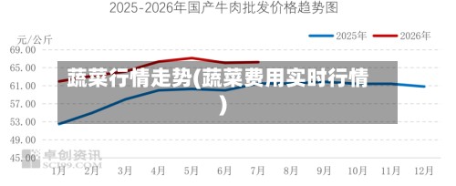 蔬菜行情走势(蔬菜费用实时行情)