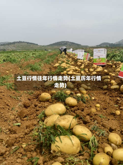 土豆行情往年行情走势(土豆历年行情走势)