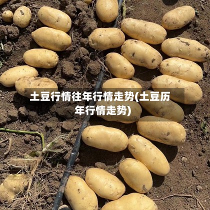土豆行情往年行情走势(土豆历年行情走势)-第2张图片