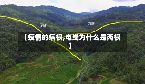 【疫情的病根,电线为什么是两根】