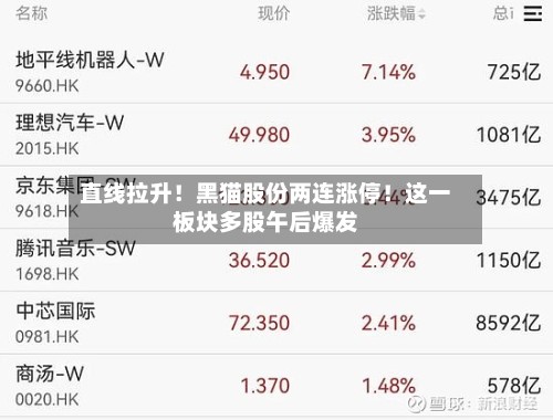 直线拉升！黑猫股份两连涨停！这一板块多股午后爆发-第2张图片