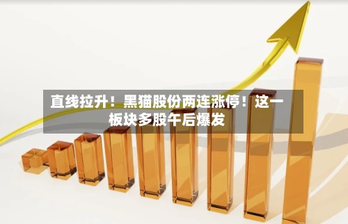 直线拉升！黑猫股份两连涨停！这一板块多股午后爆发