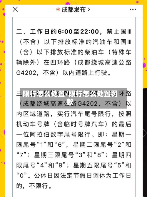 限行怎么处置/限行怎么处置罚款-第3张图片