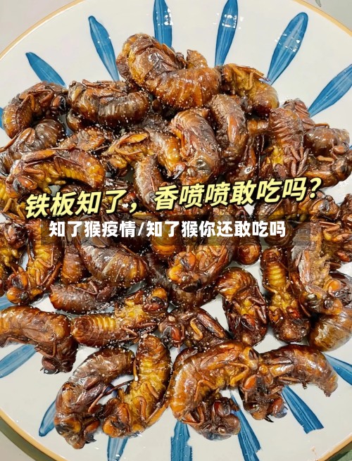 知了猴疫情/知了猴你还敢吃吗
