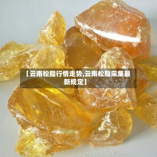 【云南松脂行情走势,云南松脂采集最新规定】
