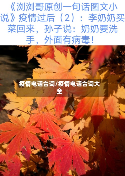 疫情电话台词/疫情电话台词大全