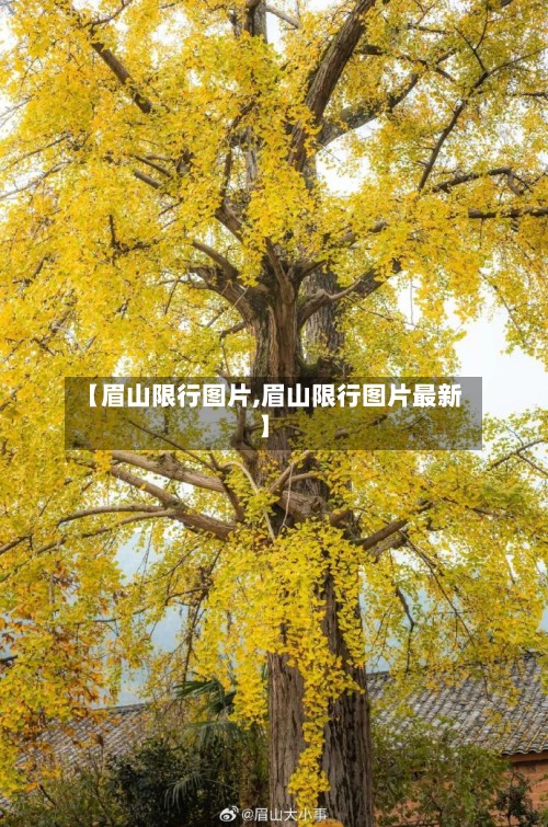 【眉山限行图片,眉山限行图片最新】