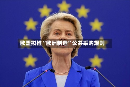 欧盟拟推“欧洲制造”公共采购规则-第2张图片