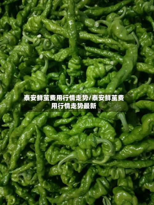 泰安鲜茧费用行情走势/泰安鲜茧费用行情走势最新-第2张图片