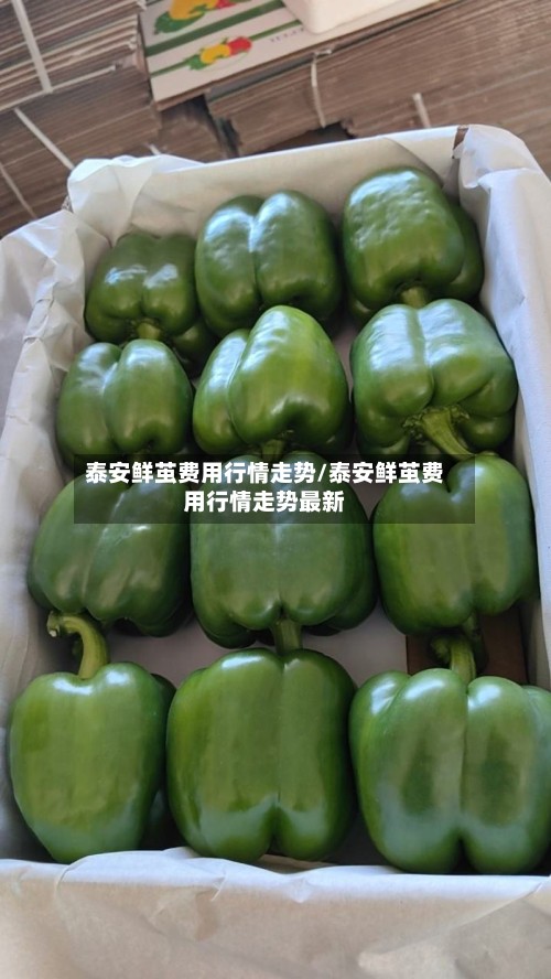 泰安鲜茧费用行情走势/泰安鲜茧费用行情走势最新