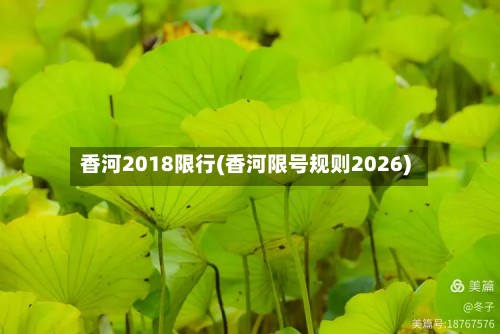 香河2018限行(香河限号规则2026)-第3张图片