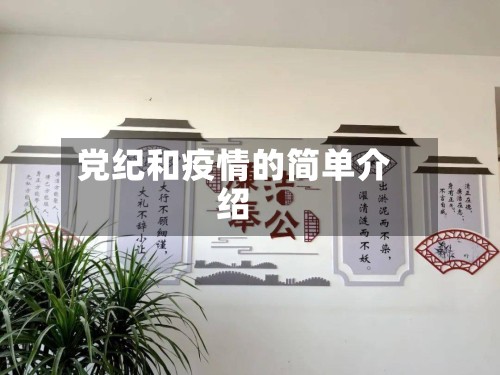 党纪和疫情的简单介绍