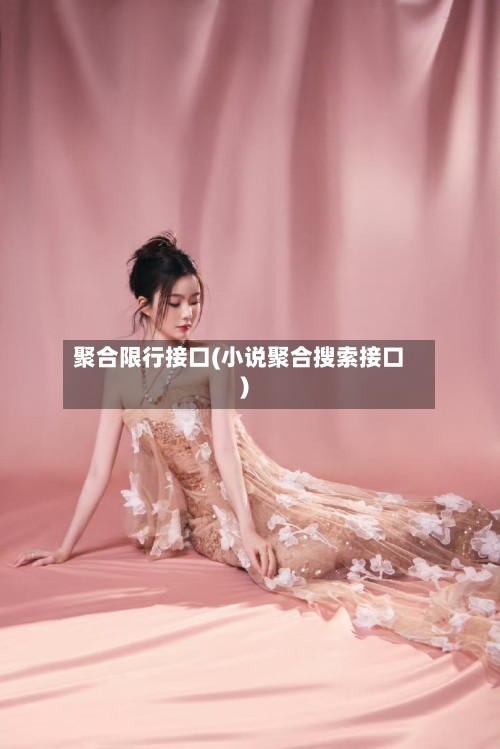 聚合限行接口(小说聚合搜索接口)