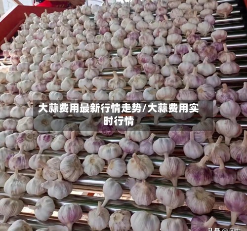 大蒜费用最新行情走势/大蒜费用实时行情-第2张图片
