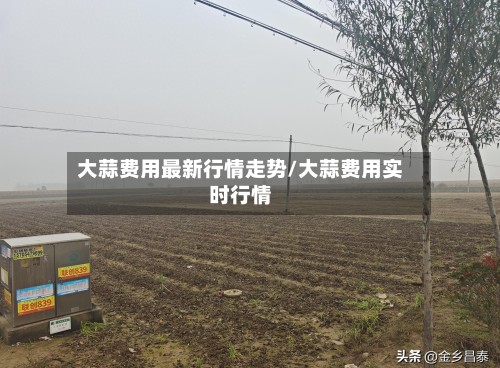 大蒜费用最新行情走势/大蒜费用实时行情-第3张图片