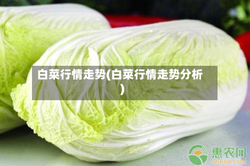 白菜行情走势(白菜行情走势分析)