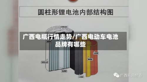 广西电瓶行情走势/广西电动车电池品牌有哪些