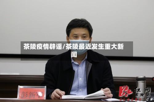 茶陵疫情辟谣/茶陵最近发生重大新闻-第2张图片