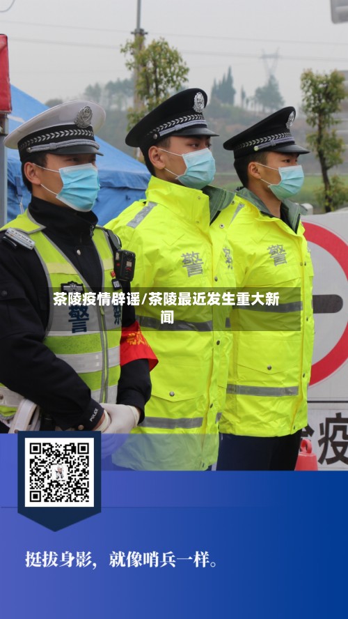 茶陵疫情辟谣/茶陵最近发生重大新闻-第3张图片