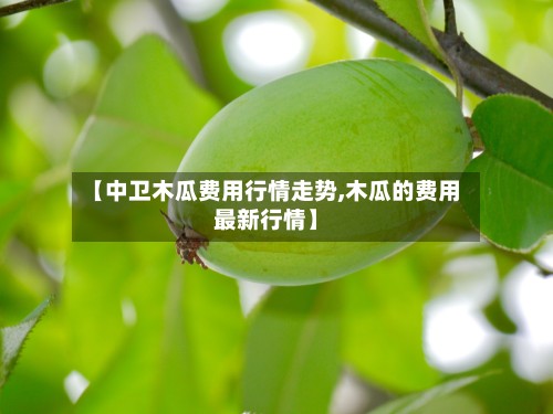 【中卫木瓜费用行情走势,木瓜的费用最新行情】