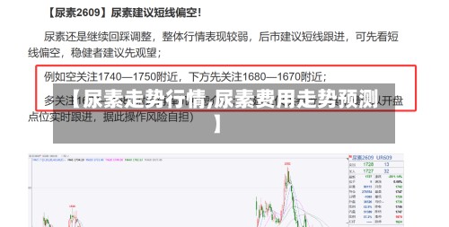 【尿素走势行情,尿素费用走势预测】-第2张图片