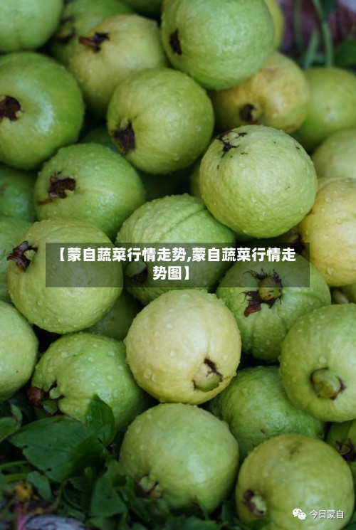 【蒙自蔬菜行情走势,蒙自蔬菜行情走势图】