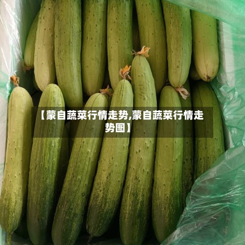 【蒙自蔬菜行情走势,蒙自蔬菜行情走势图】-第2张图片